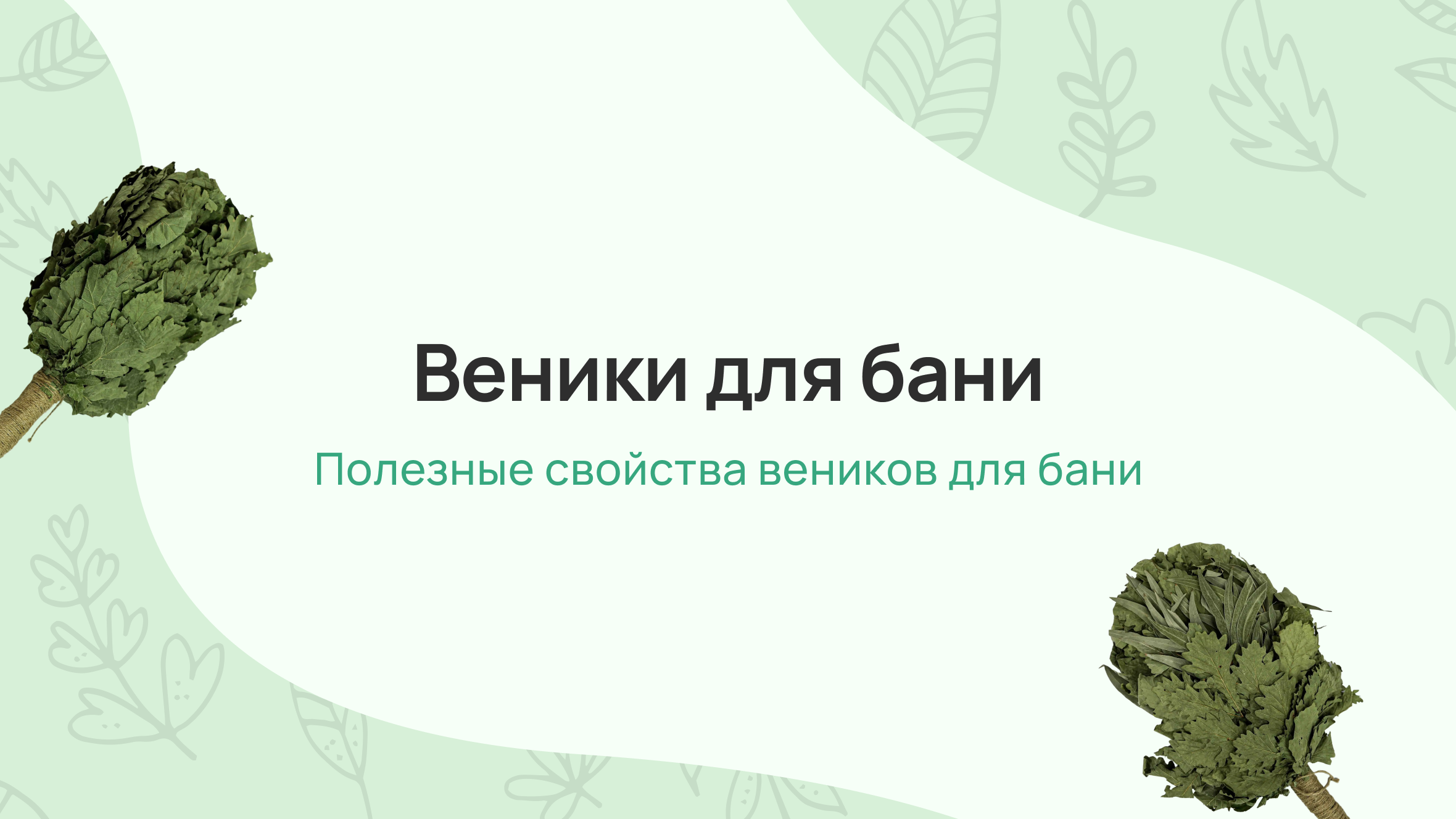 Веники для бани - Как правильно париться с вениками для бани?