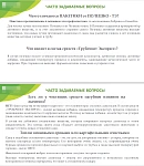 Очиститель дымохода Полешко мини