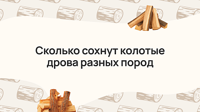 Сколько сохнут колотые дрова разных пород: авторское руководство для начинающих банщиков